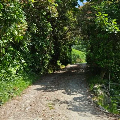 The Track to Butt Lodge