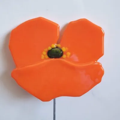 Orange Poppy