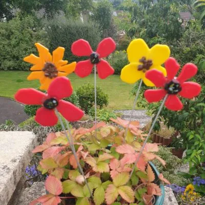 Poppies