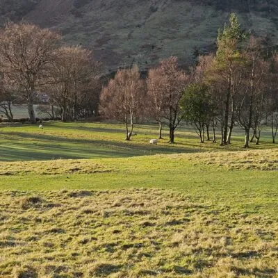 View across the Golf Course