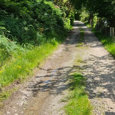The Track to Butt Lodge