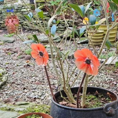 Glass Poppy Stakes