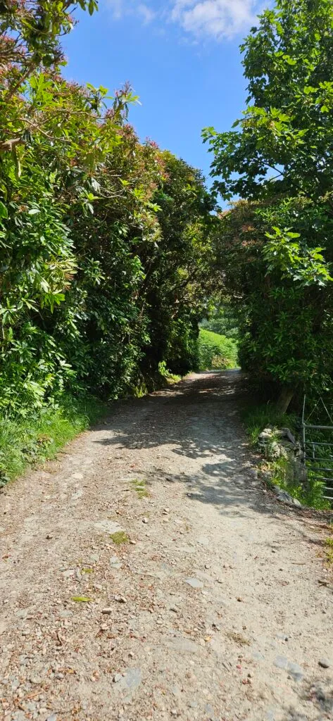 The Track to Butt Lodge