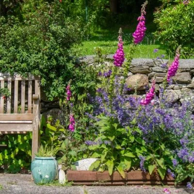 Seat in Garden