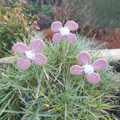 pink flowers